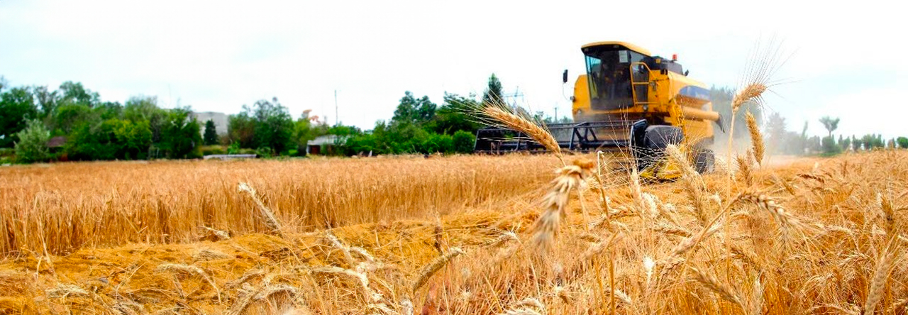 Onlayn yapon femdom pornosini tomosha qiling Zendaya porno